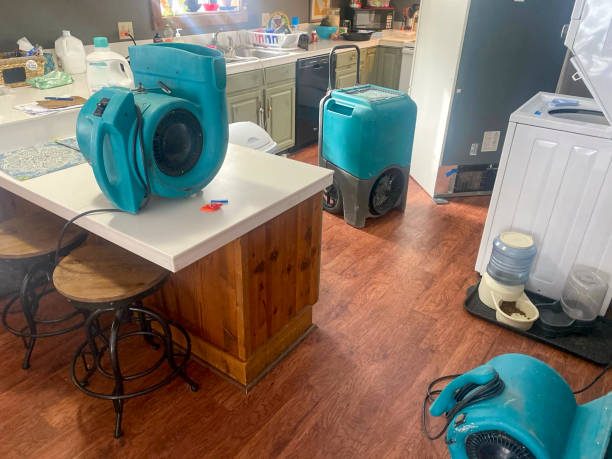 Best Carpet water damage restoration  in Effingham, IL