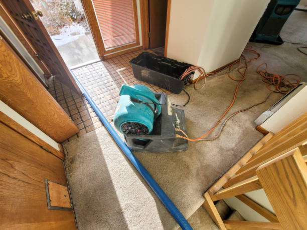 Sewage cleanup and water damage restoration in Effingham, IL