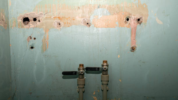 Best Water damage restoration services  in Effingham, IL