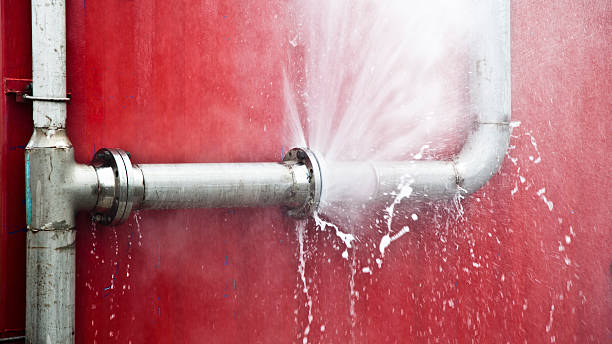 Best Flood restoration services  in Effingham, IL
