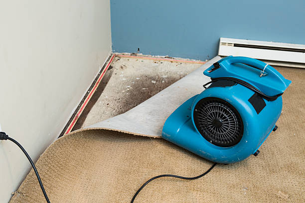 Reliable Effingham, IL Water damage restoration Solutions